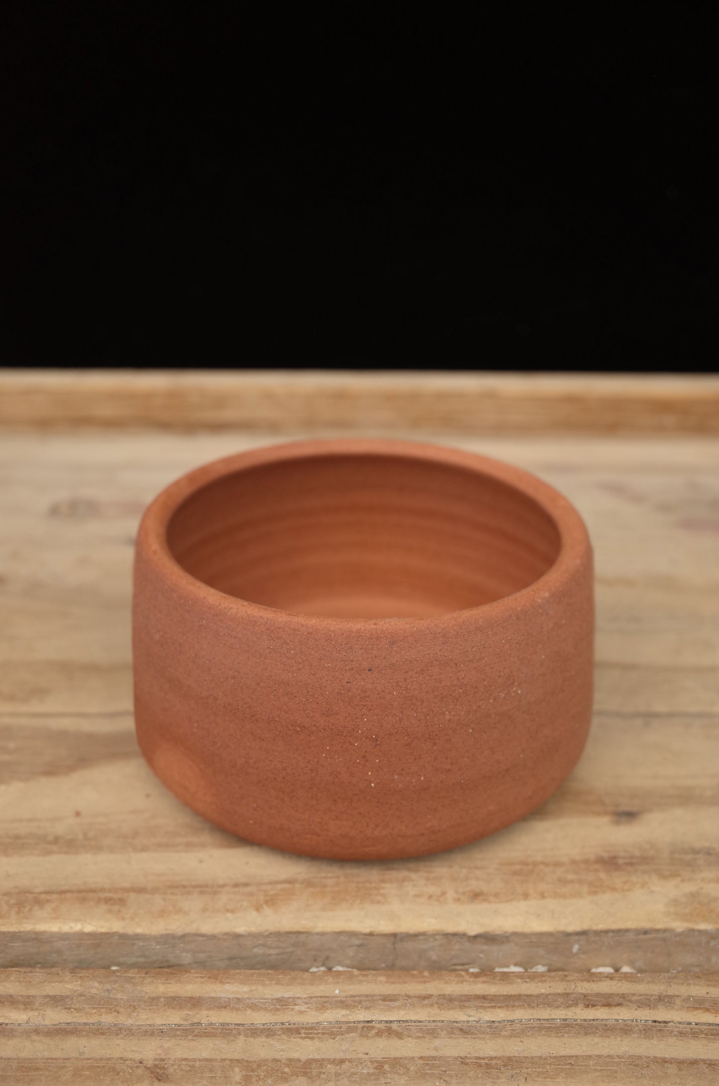 Dog Bowl pot