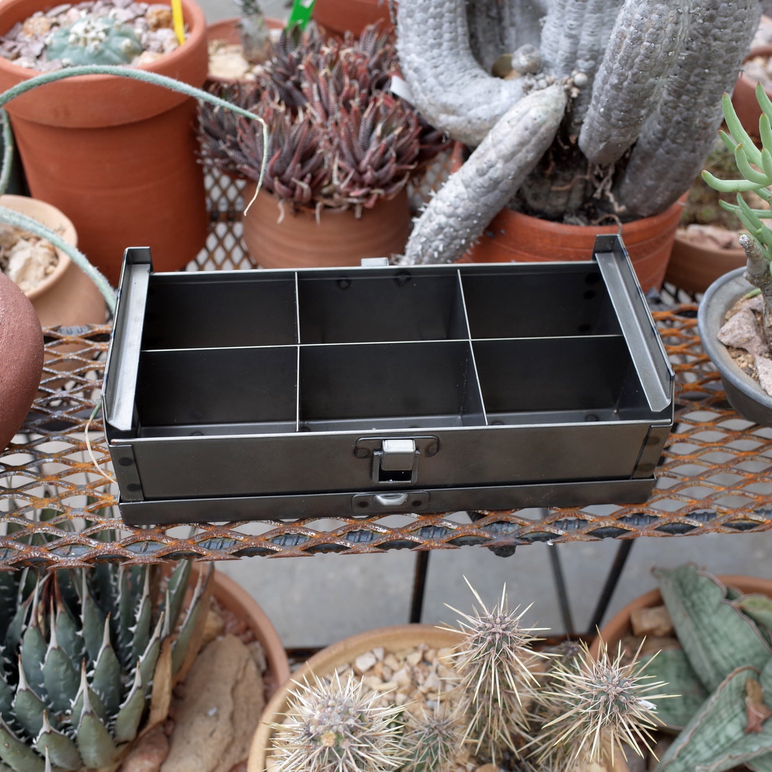 CS Seed Propagation Box (By Joel)