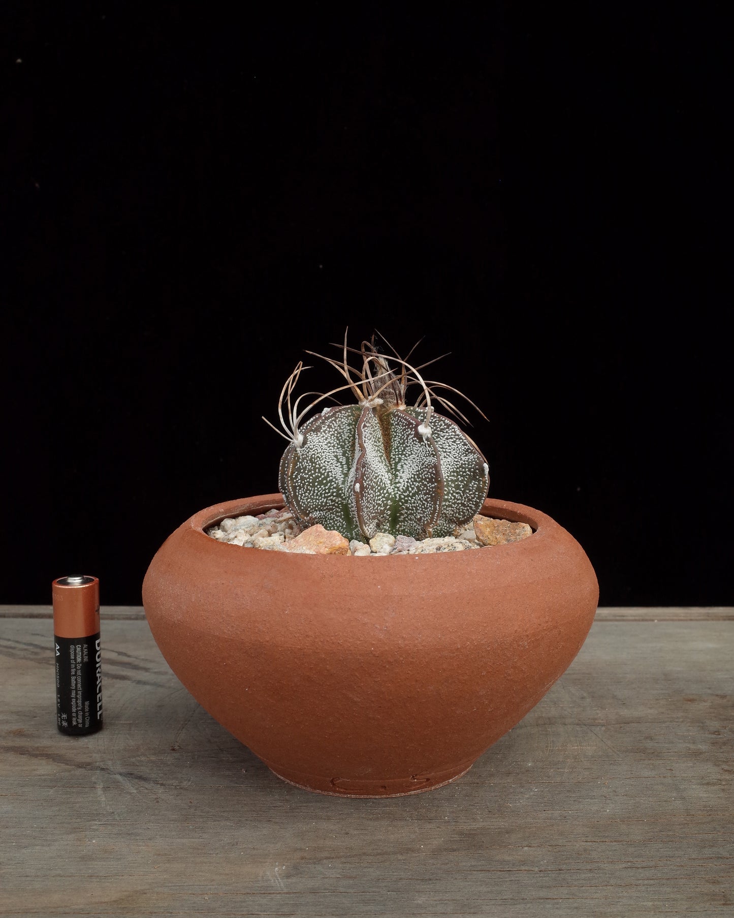 Other Urn Pot
