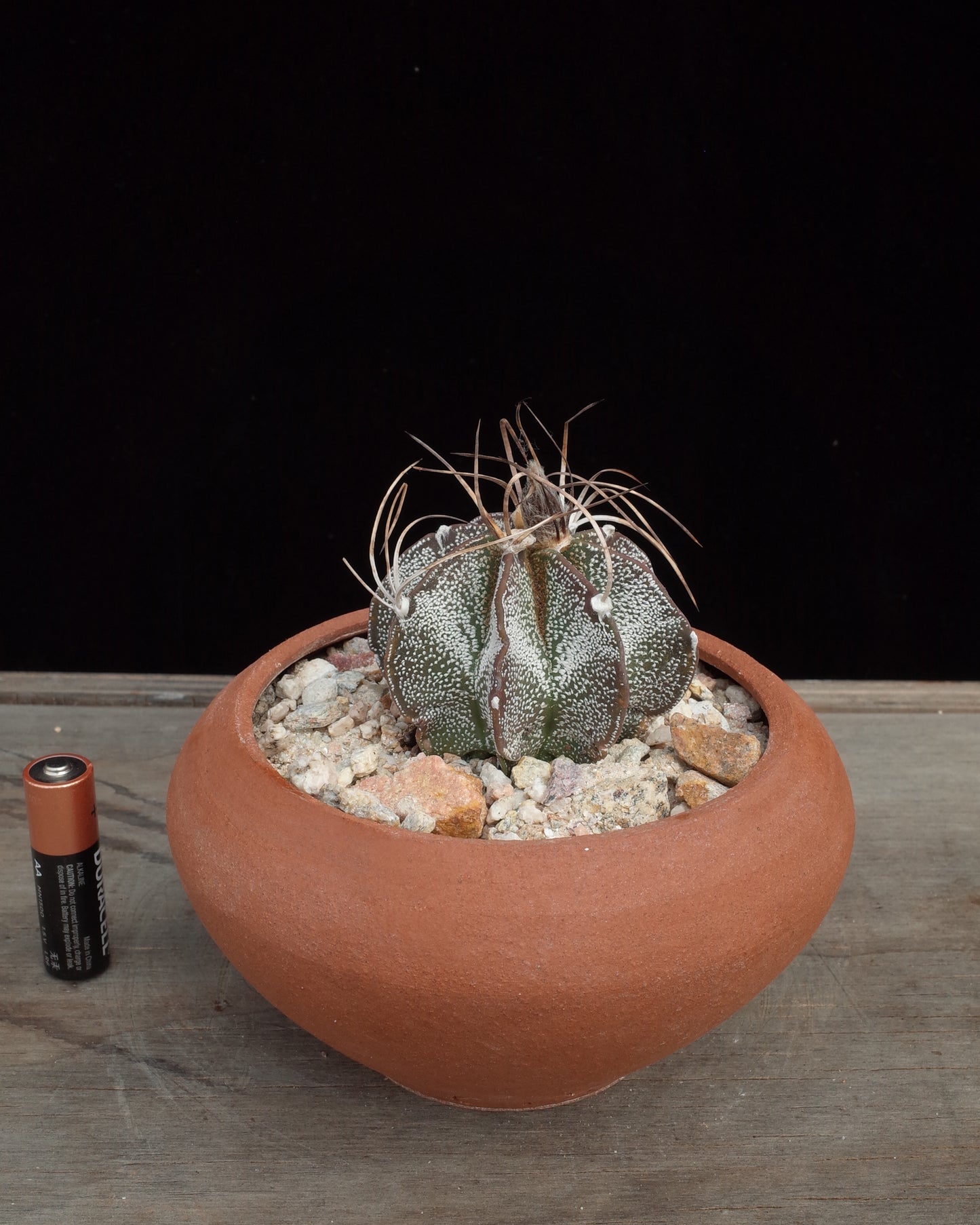 Other Urn Pot