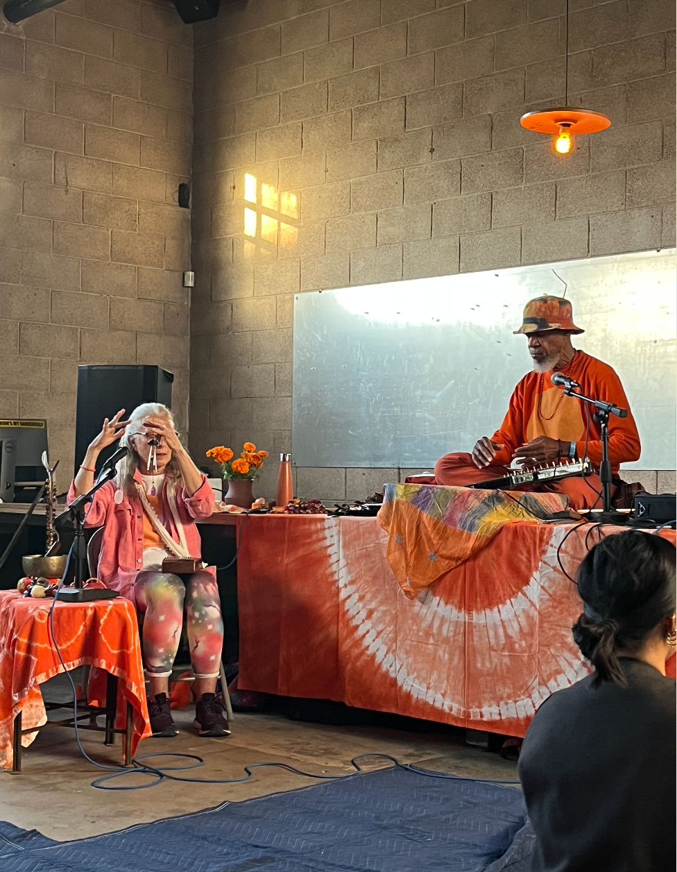 Laraaji Live at Cactus Store Studio Long Sleeve Shirt
