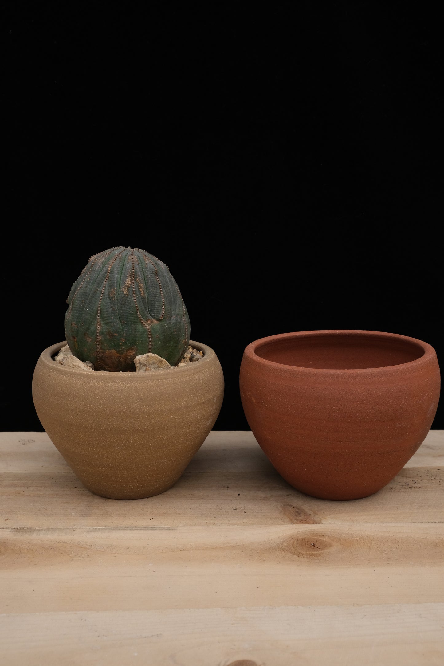 Urn Pot