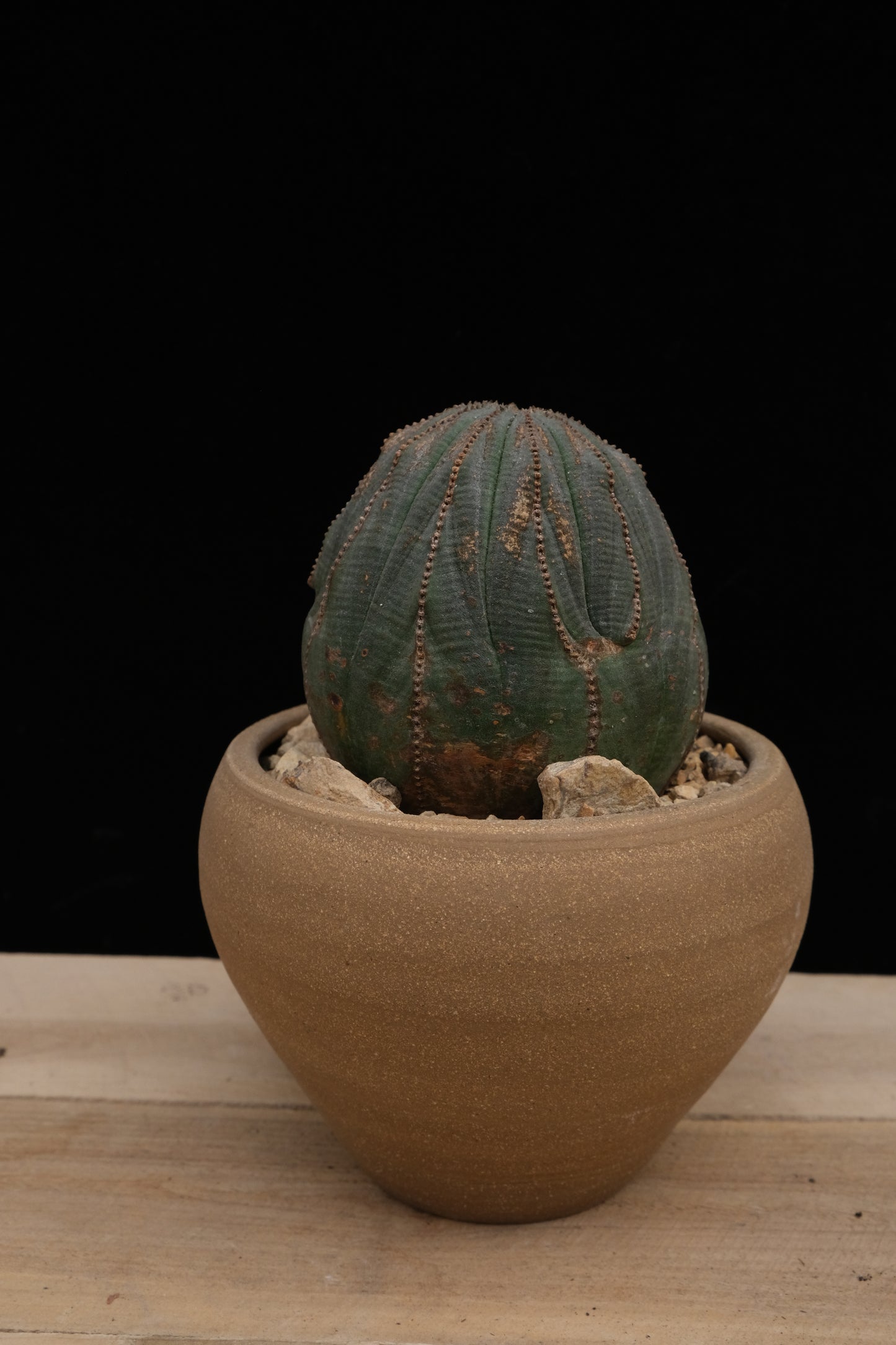 Urn Pot