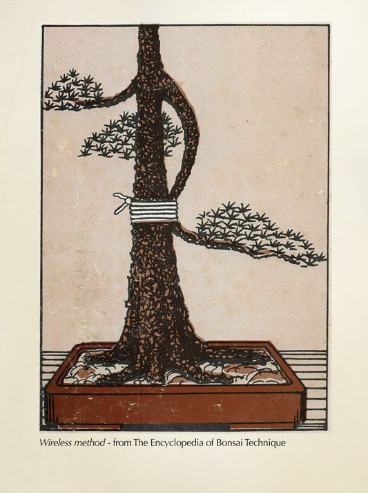 Bonsai Technique #45: Wireless Method T-Shirt