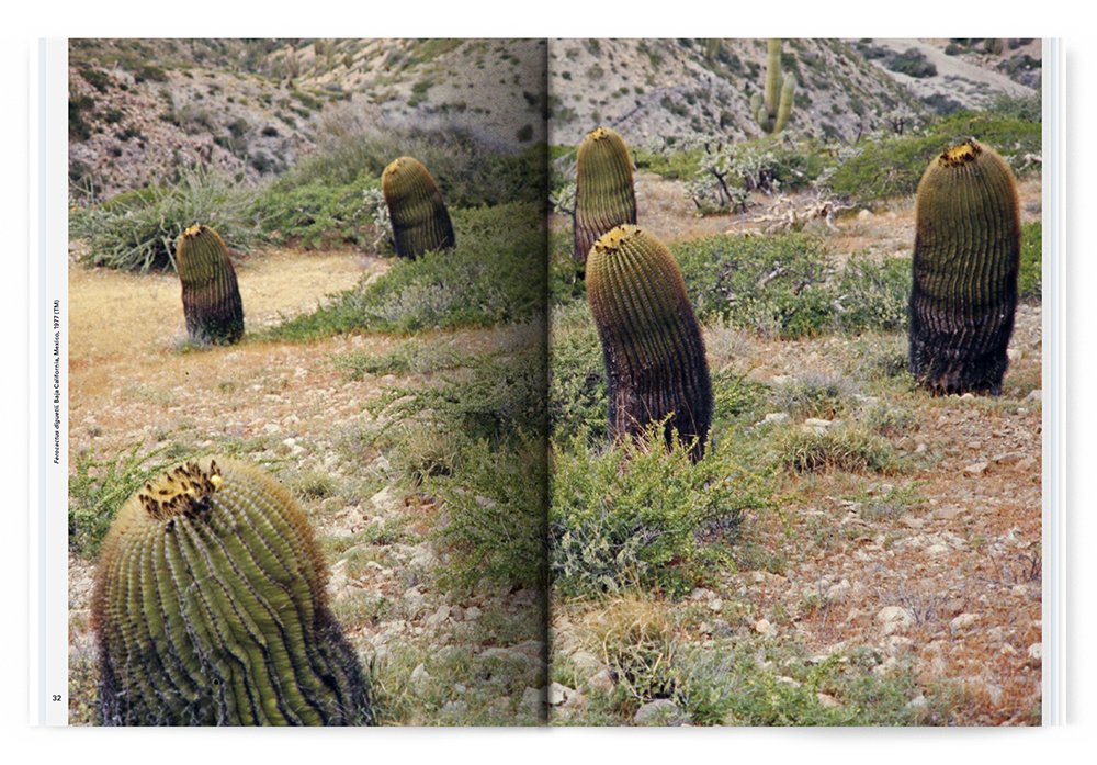 Xerophile: Cactus Photographs from Expeditions of the Obsessed (Revised Edition)