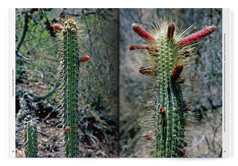 Xerophile: Cactus Photographs from Expeditions of the Obsessed (Revised Edition)