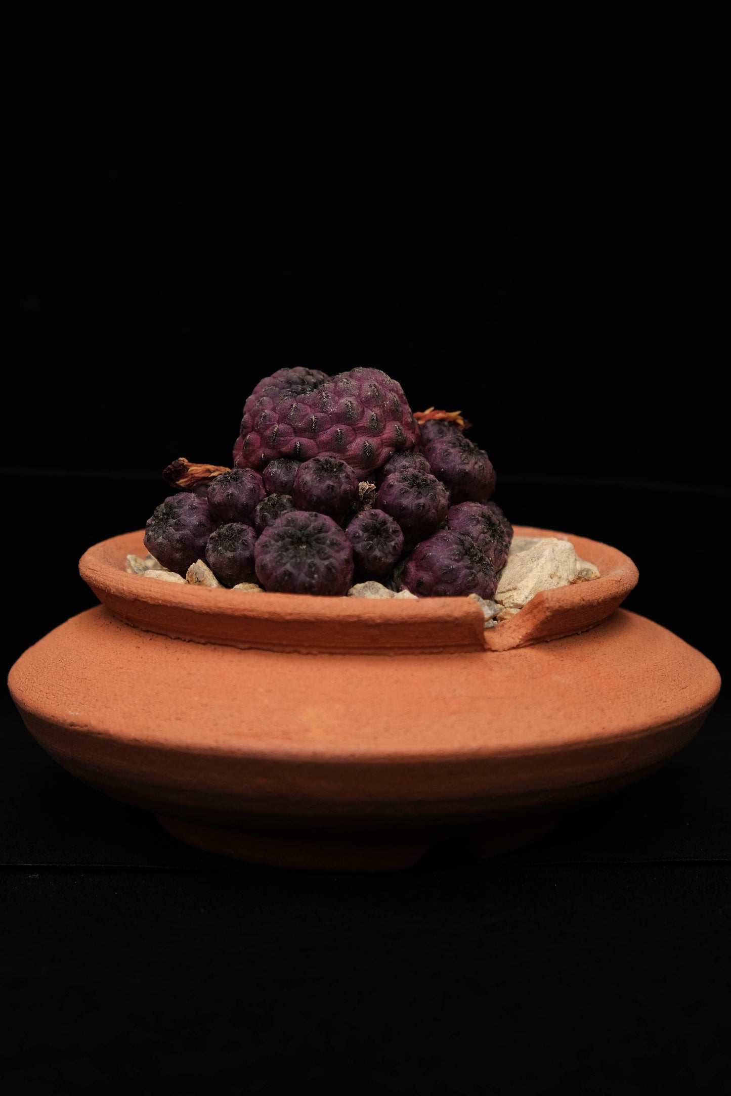 Ashtray (Terracotta)