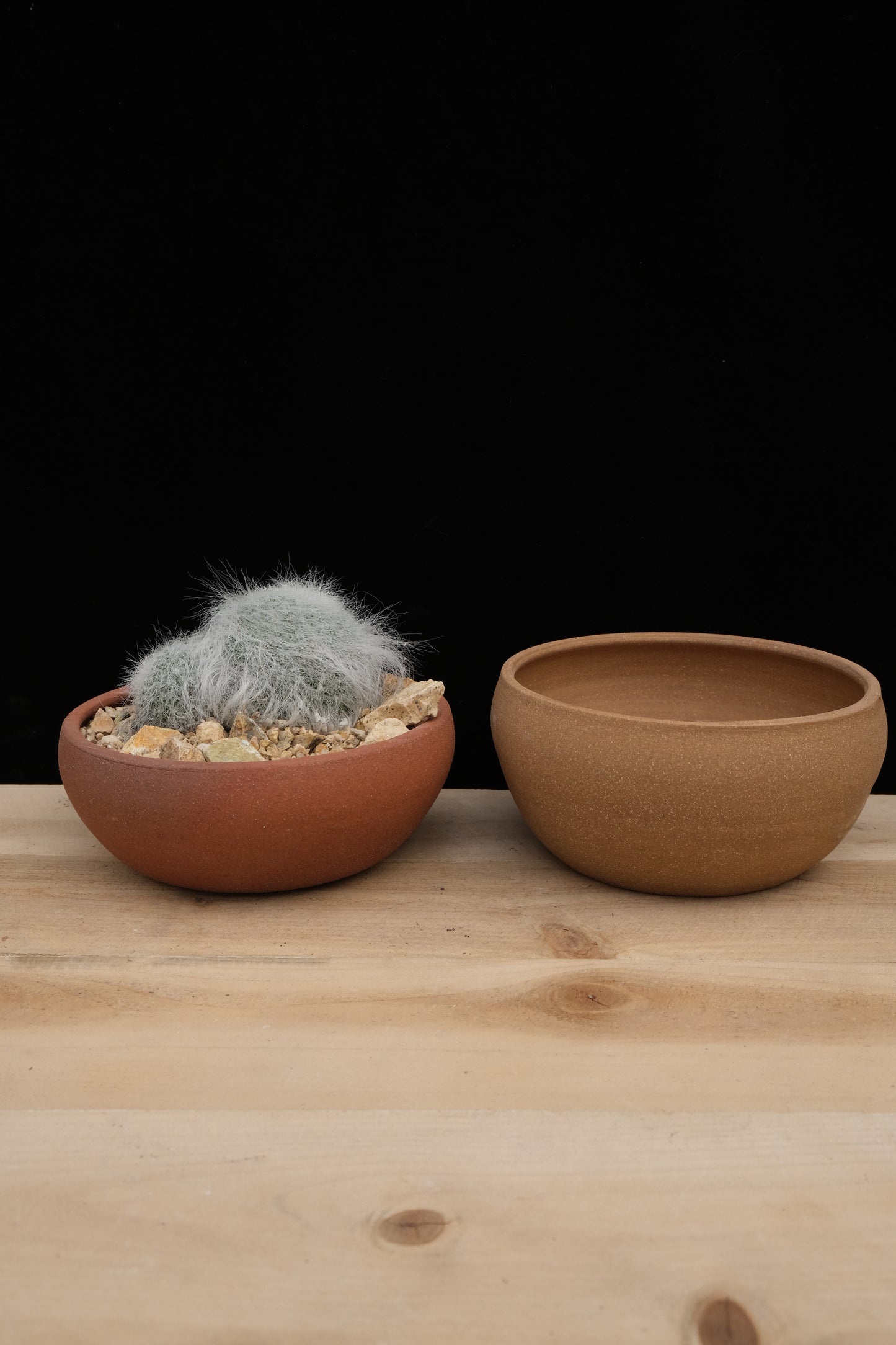 Cereal Bowl