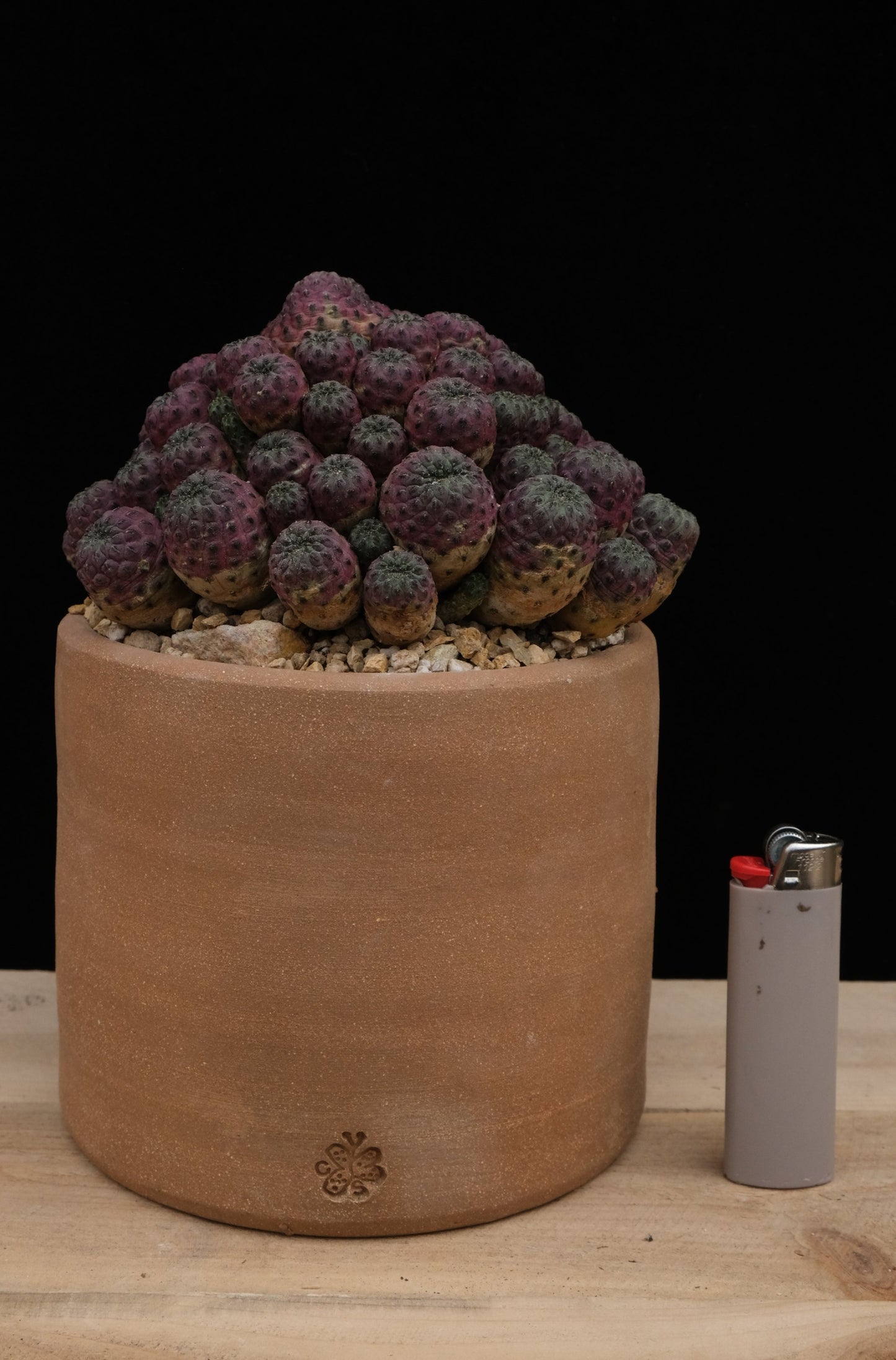 C.S. Cylinder pot