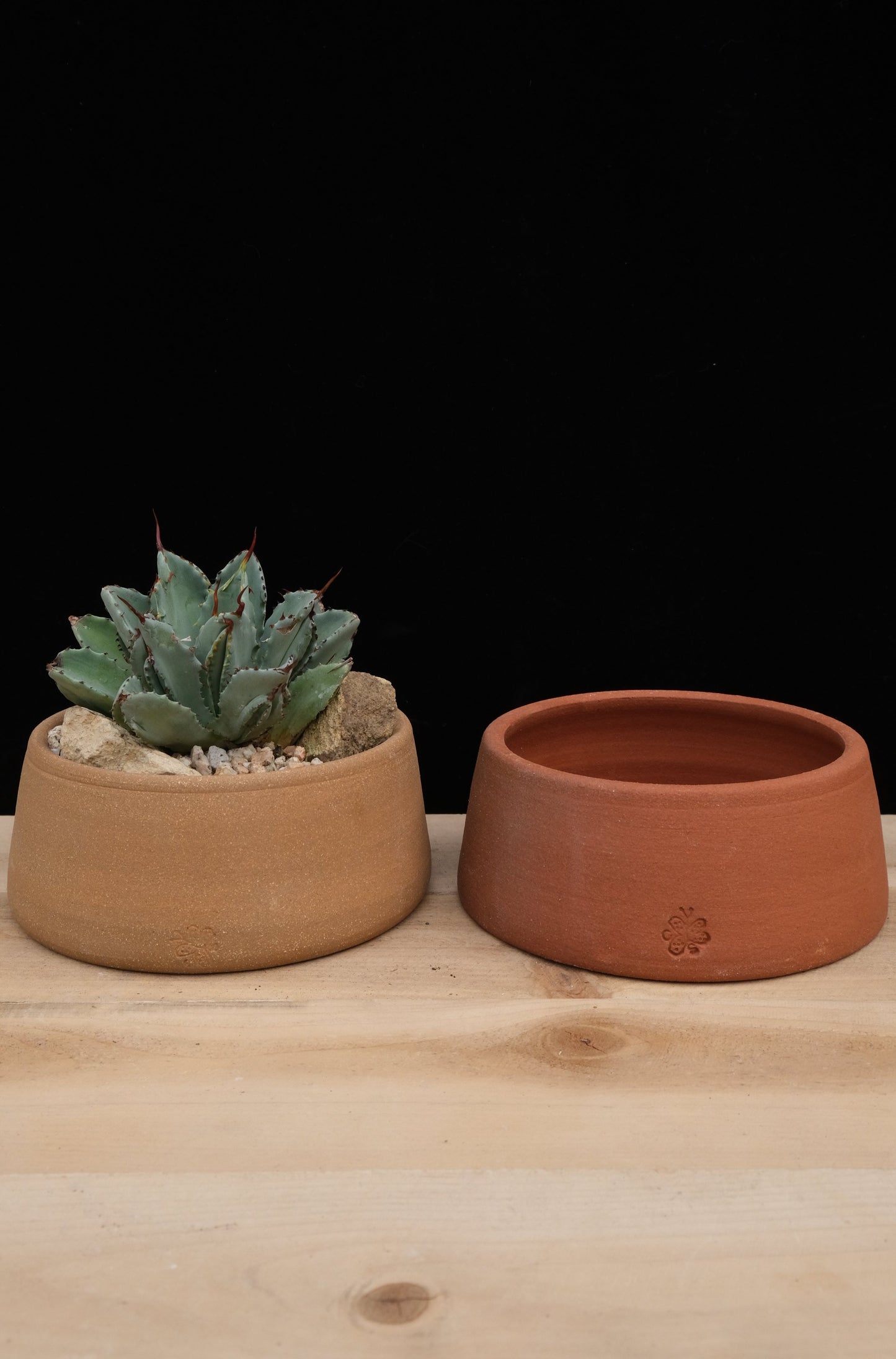 Dog Bowl Pot