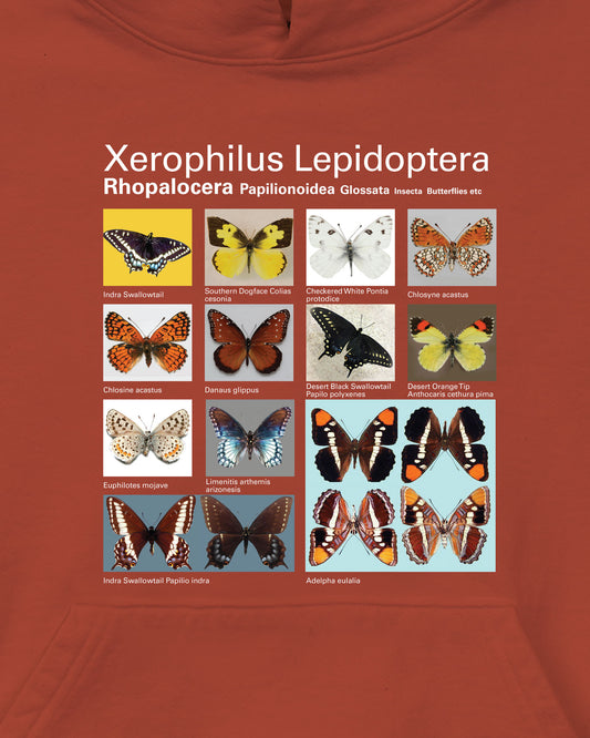 Taxa Sweatshirt 7: The Xerophilus Lepidoptera