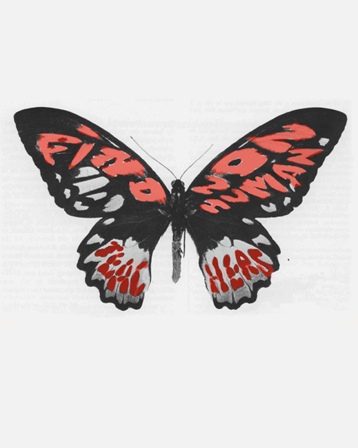 Find Nonhuman Teachers 2: Butterfly Sweatshirt