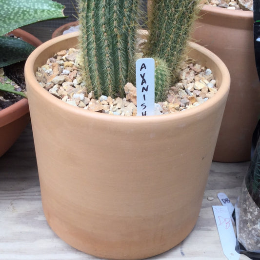 Pot Medium 8”