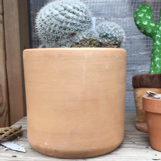 Pot Small 6”