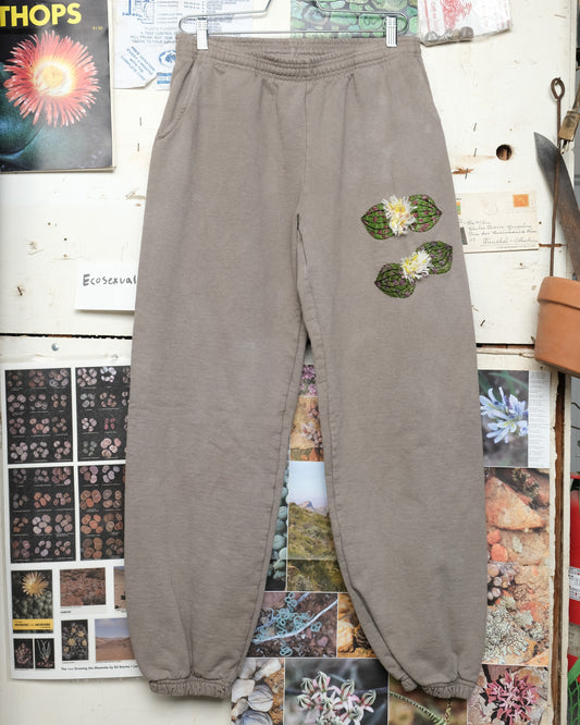 Massonia pustulata (L) Sweatpants