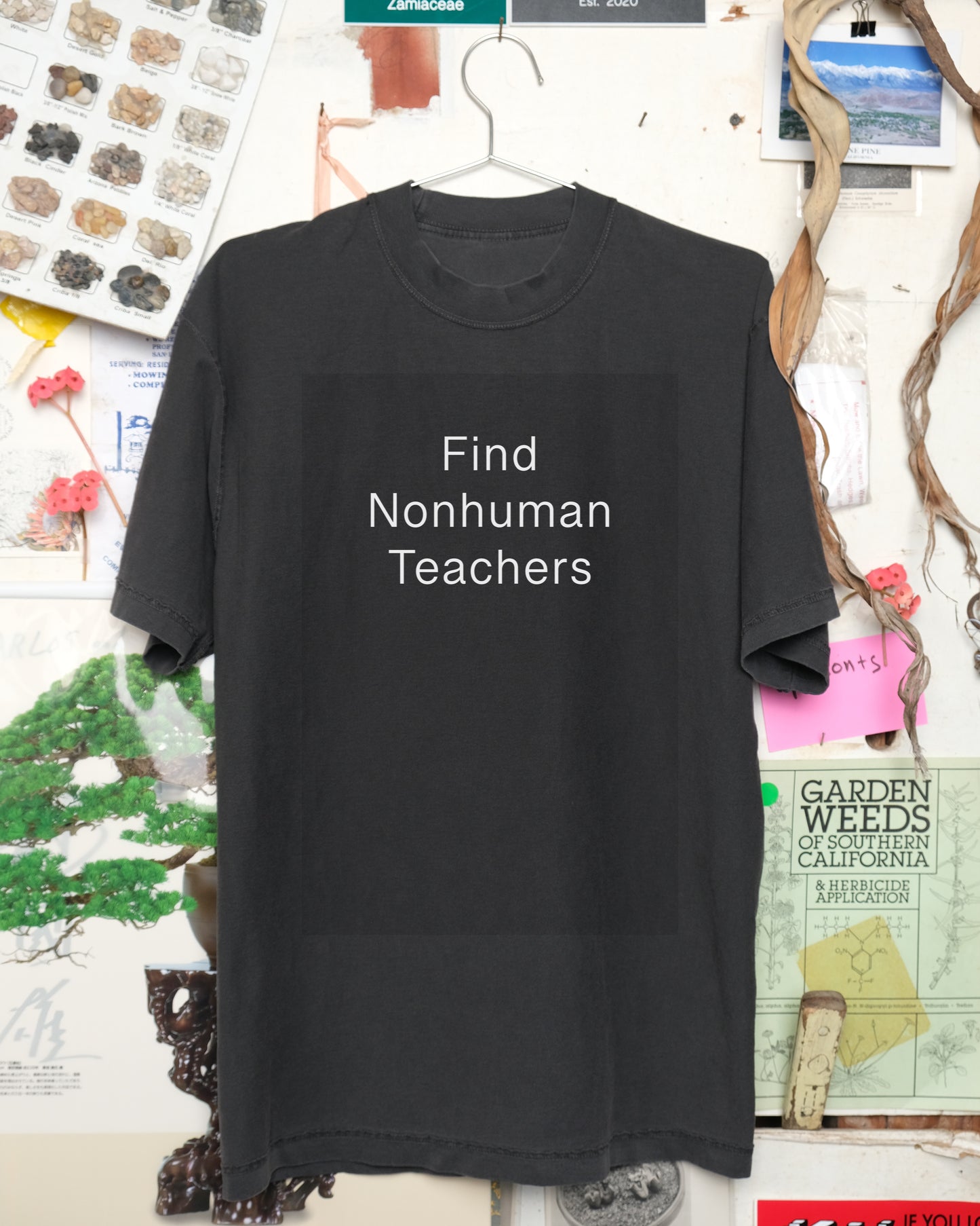 Find Nonhuman Teachers 1: Lichen Shirt