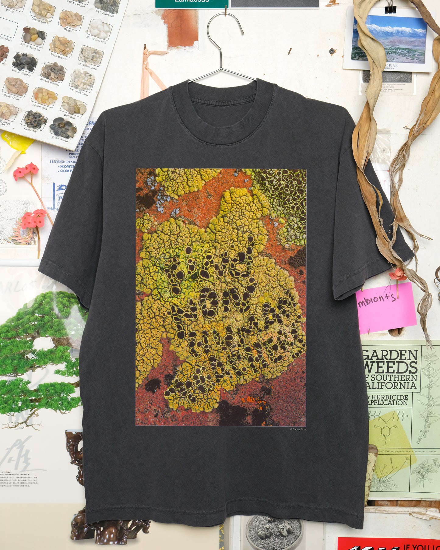Find Nonhuman Teachers 1: Lichen Shirt
