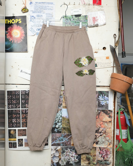 Massonia pustulata (M) Sweatpants