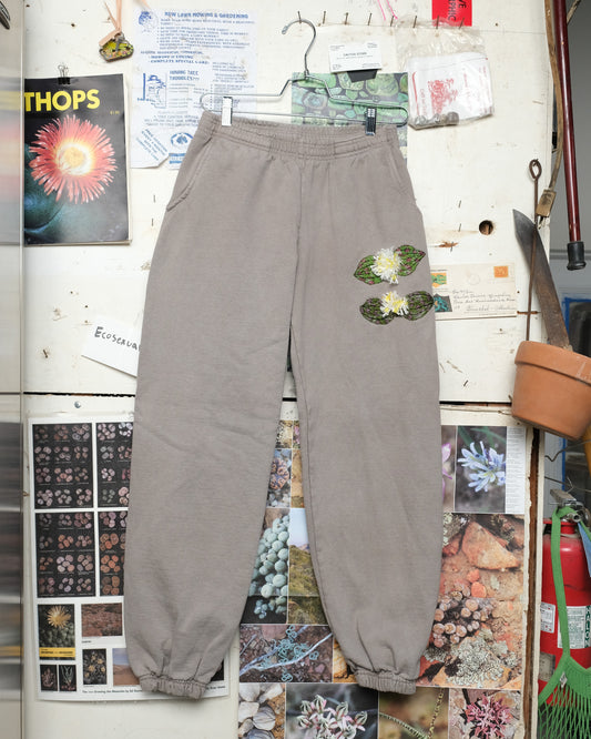 Massonia pustulata (S) Sweatpants