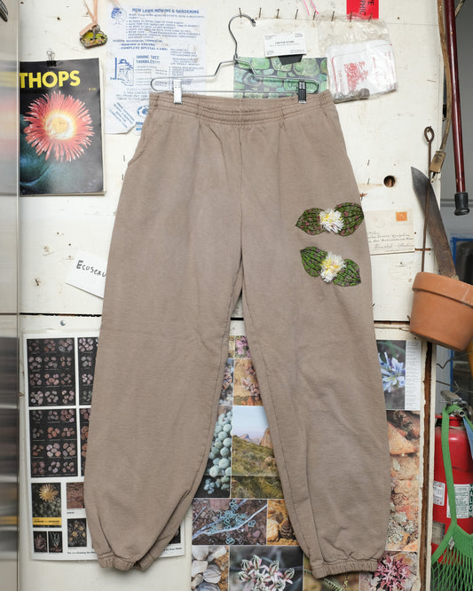Massonia pustulata (XL) Sweatpants