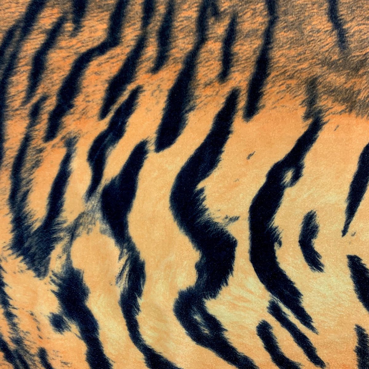 Taxa Shirt 19: Crypsis Strategies (Lotus S/S)