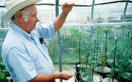 Jimroy's Exotics (Black)