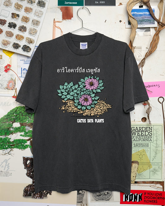 Ariocarpus retusus - Bangkok edition (Black)