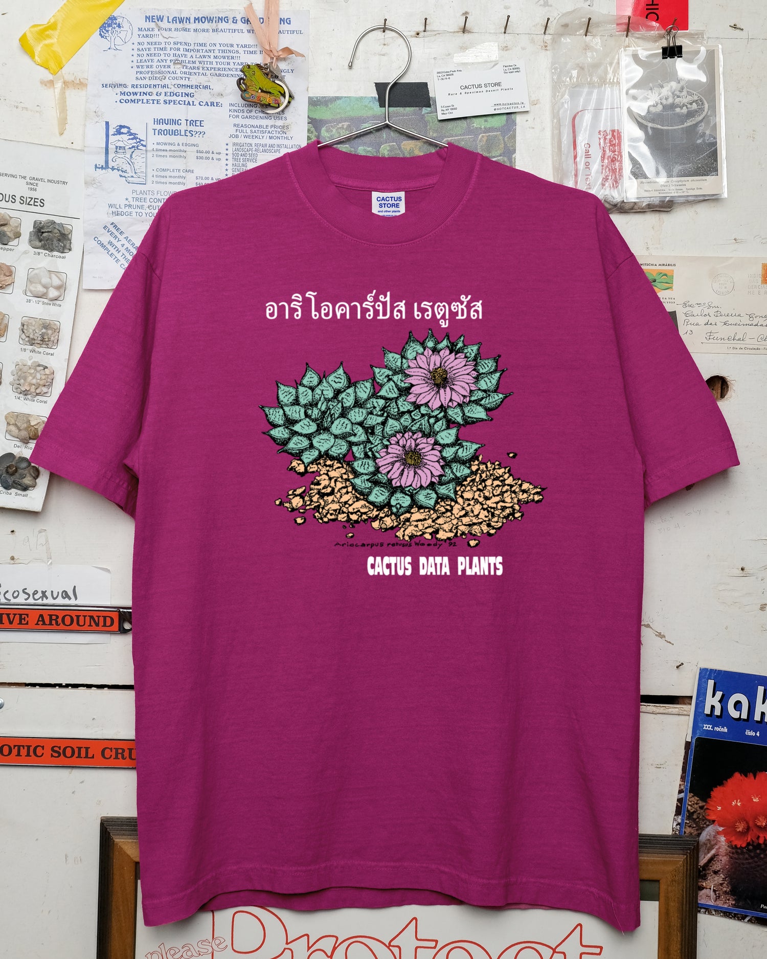 Ariocarpus retusus - Bangkok Edition (Ruby)