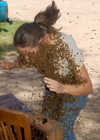 Bee Attractor (Violet)