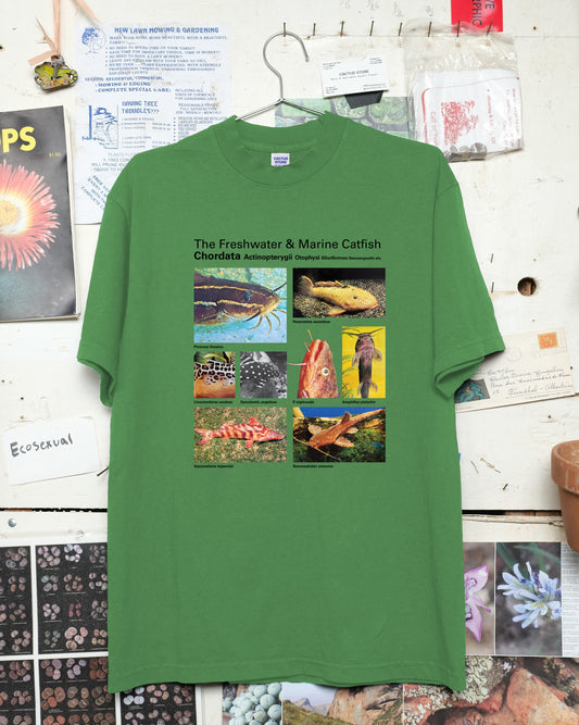 Taxa Shirt 13: The Freshwater & Marine Catfish