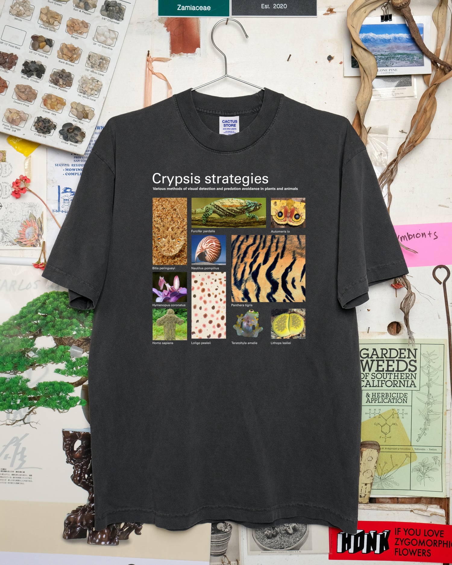 Taxa Shirt 19: Crypsis Strategies (Black S/S)