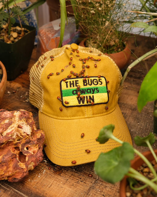 The Bugs Always Win Hat