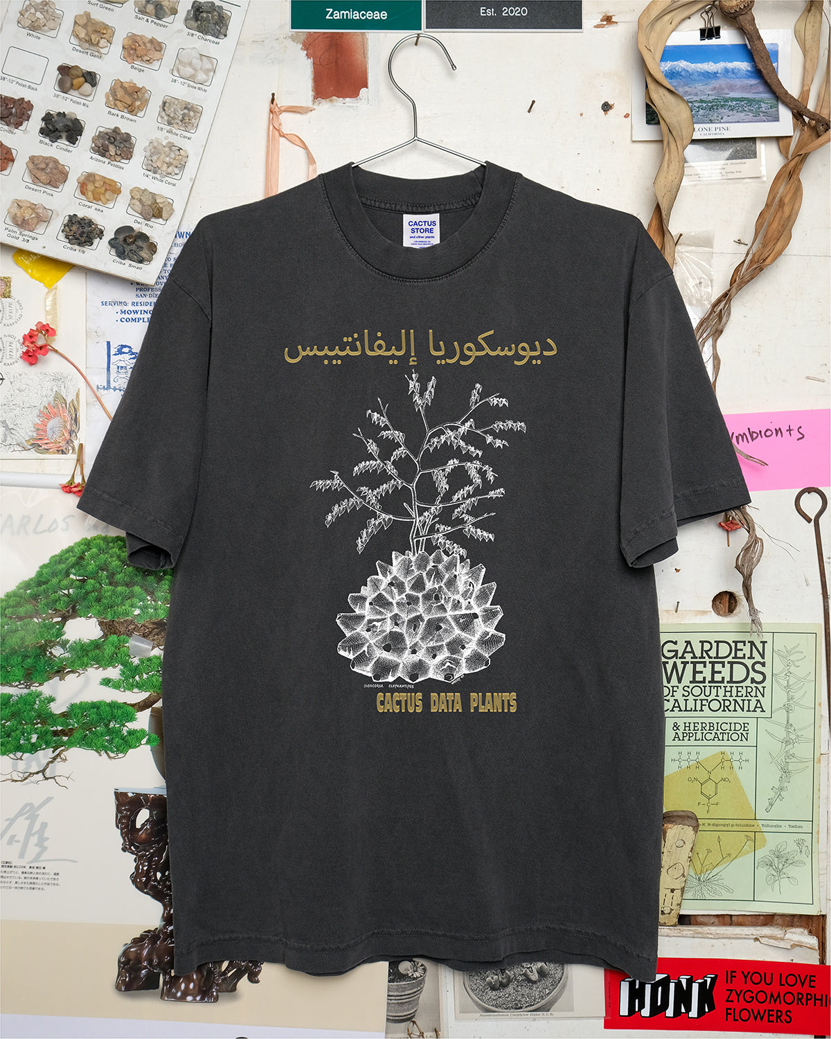 Dioscorea elephantipes – Dar es Salaam edition (Black) – Cactaceae