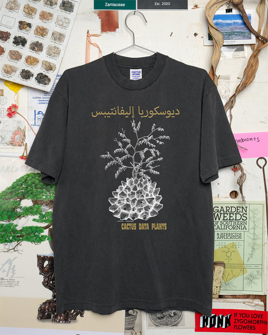 Dioscorea elephantipes – Dar es Salaam edition (Black)