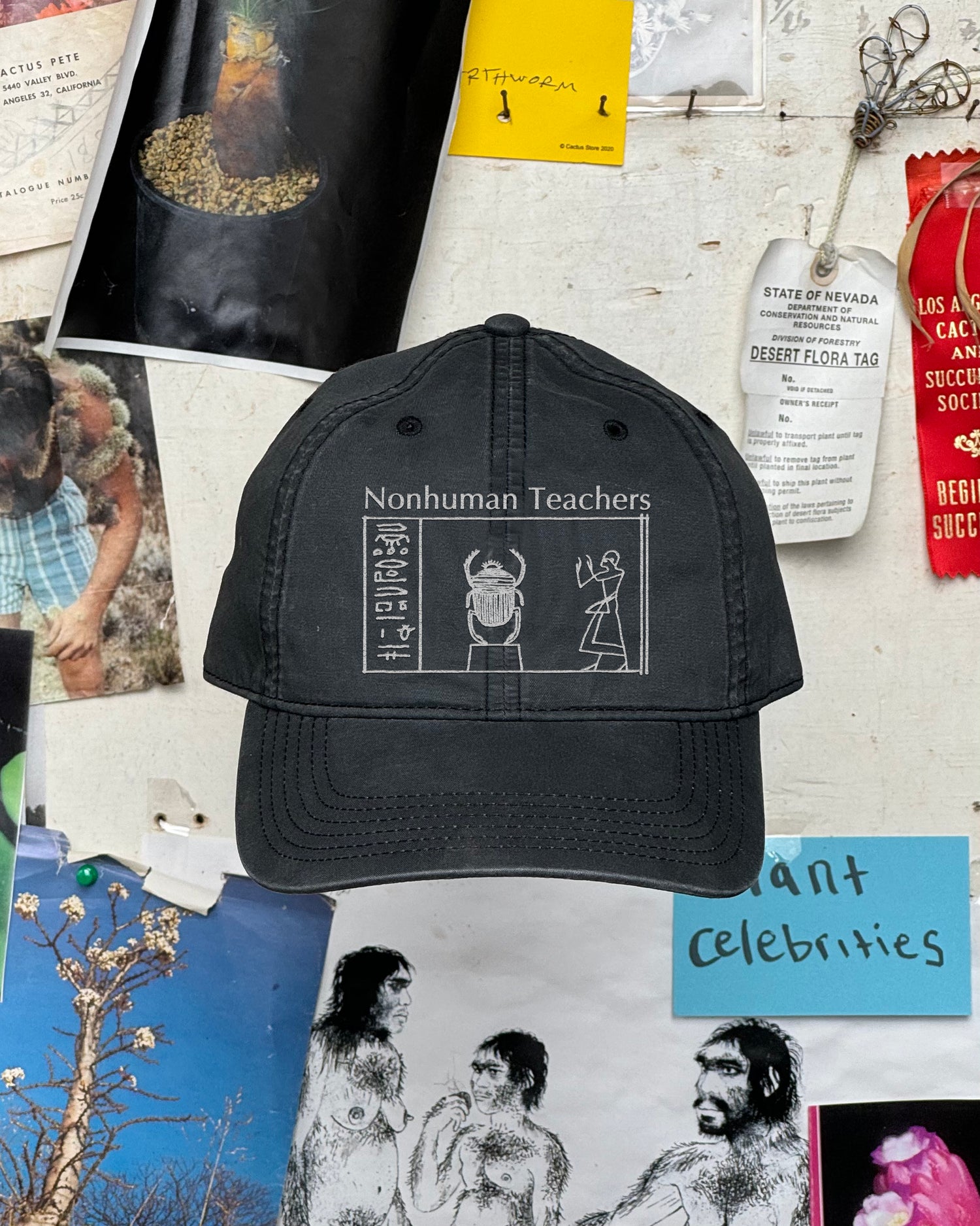 Nonhuman Teachers Cap