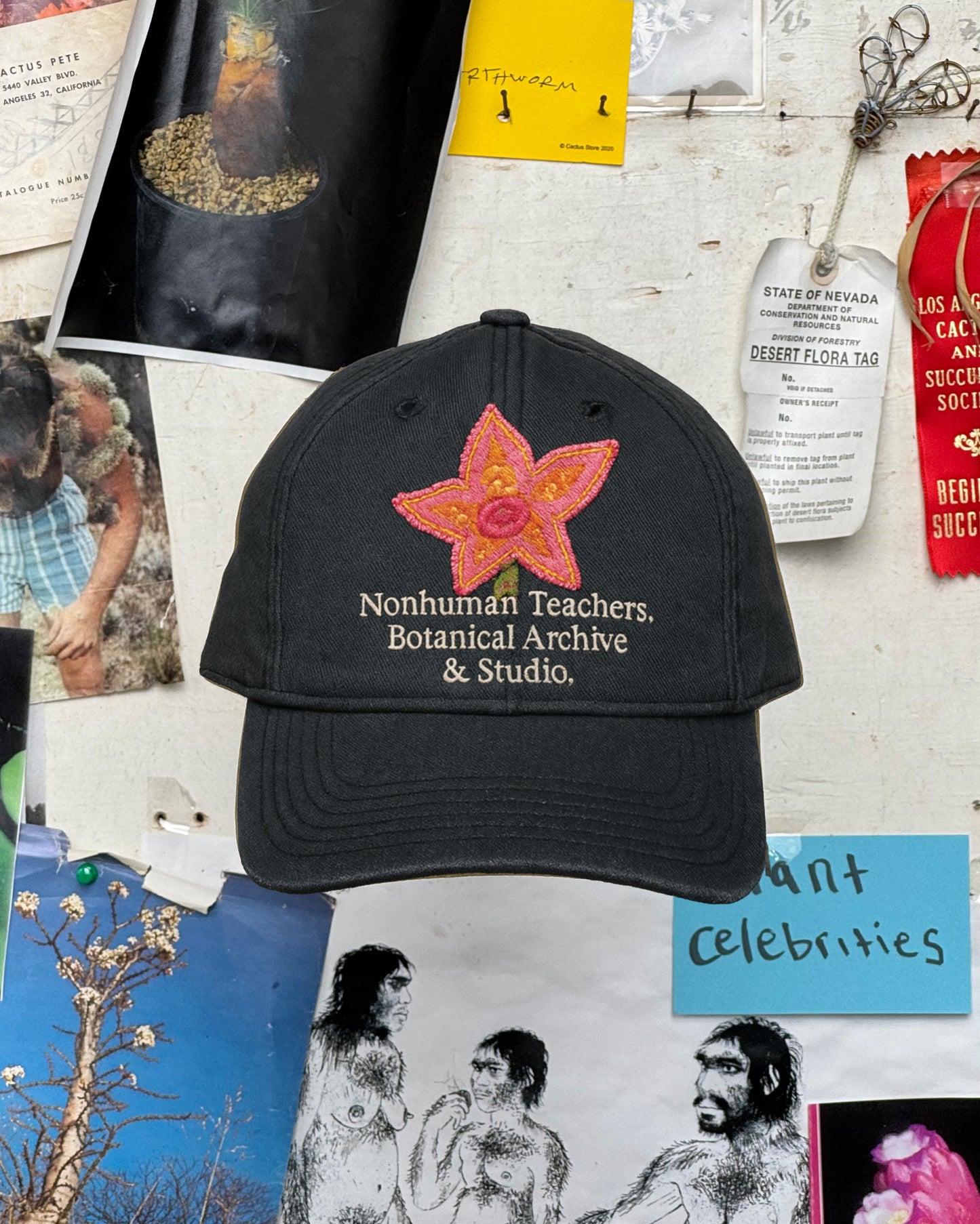 NHT Botanical Archive & Studio Hat