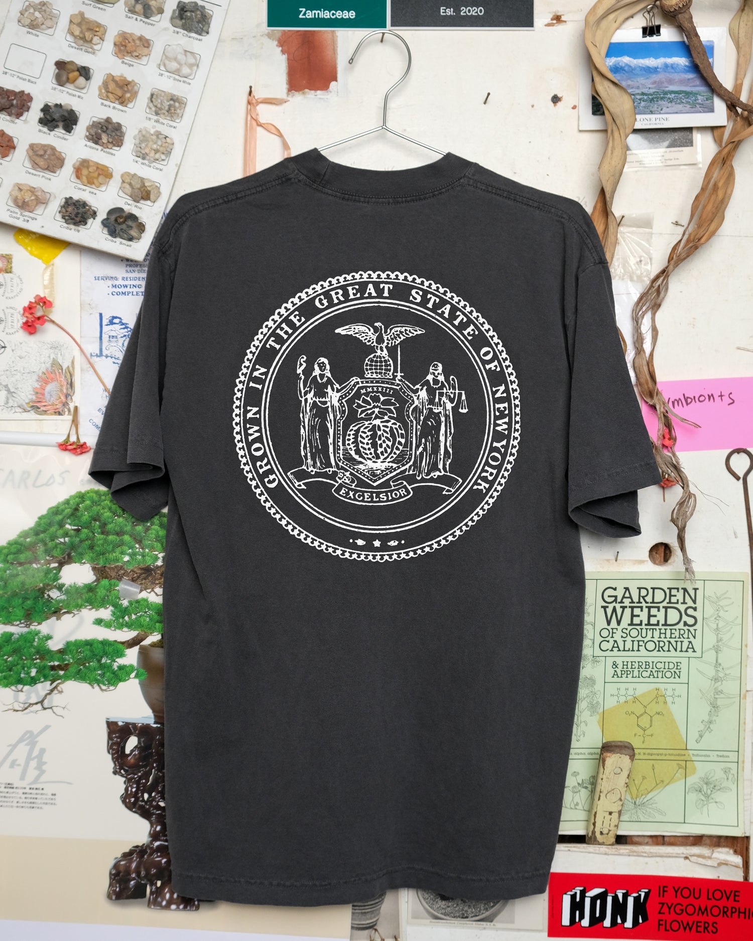 cactus and succulent show 2023 Lower East Side Cactus & Succulent Society 2023 Shirt – Cactaceae Storeiencius