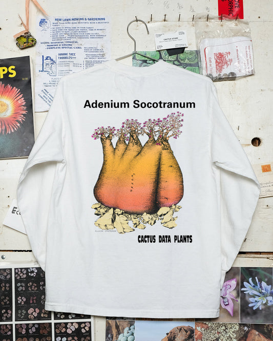 Adenium Socotranum Long Sleeve- Union Osaka