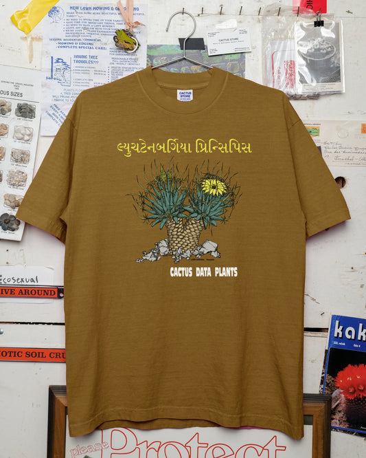 Leuchtenbergia principis – Ahmedabad Edition (Brass)