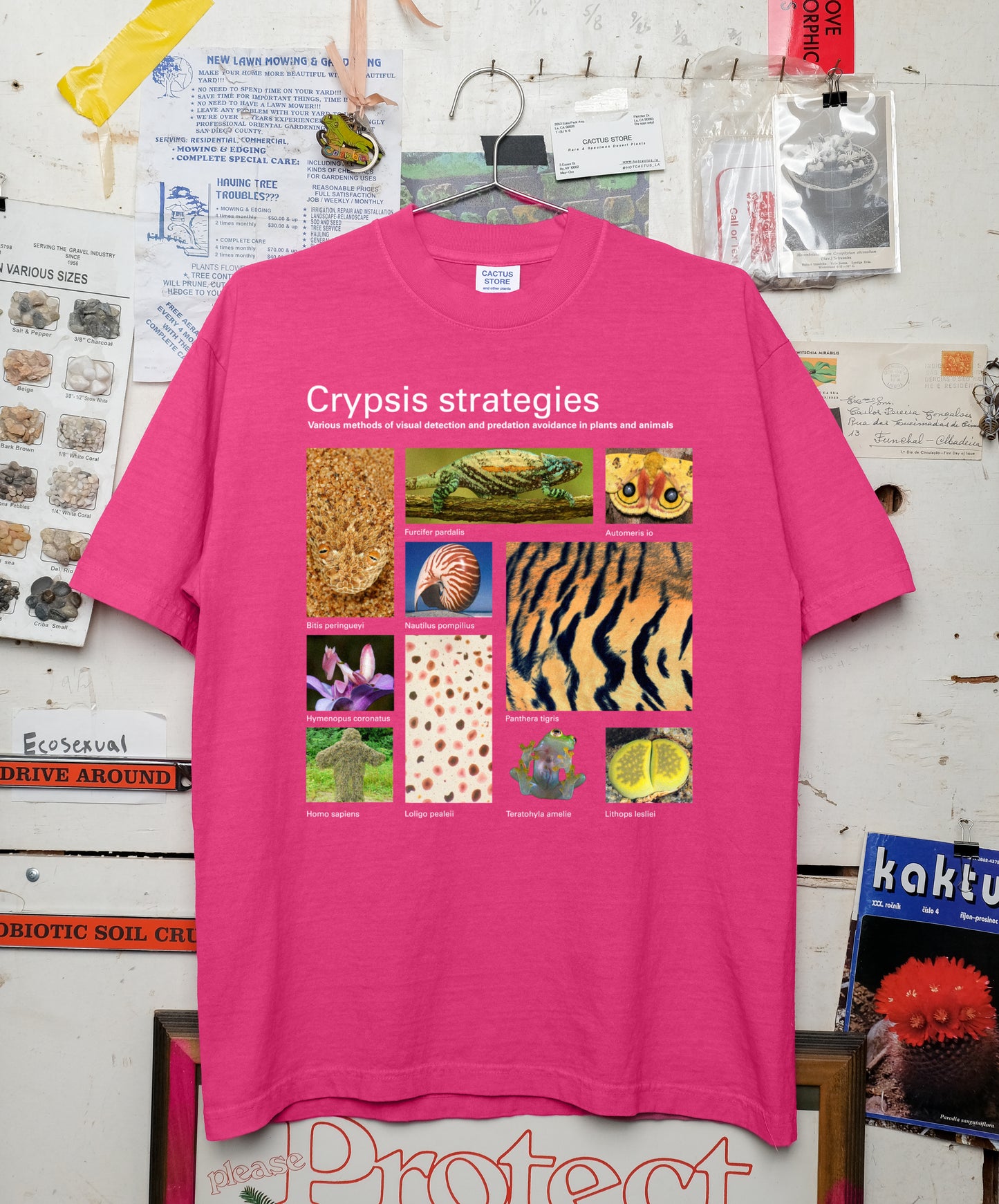 Taxa Shirt 19: Crypsis Strategies (Lotus S/S)