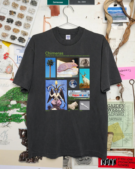 Taxa Shirt 17: Chimeras (Black)