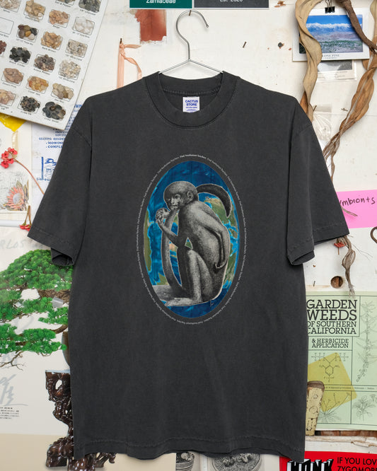 Find Nonhuman Teachers 5: Second Cousins (Black)