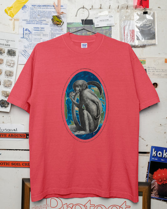 Find Nonhuman Teachers 5: Second Cousins (Red)