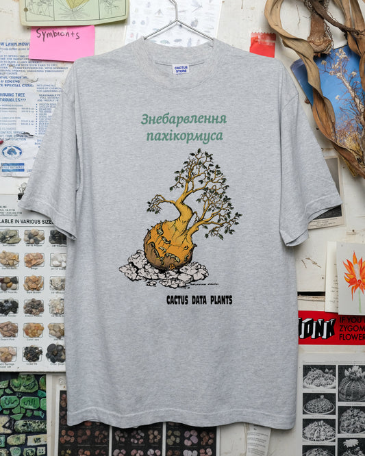 Pachycormus discolor – Minsk Edition (Heather)