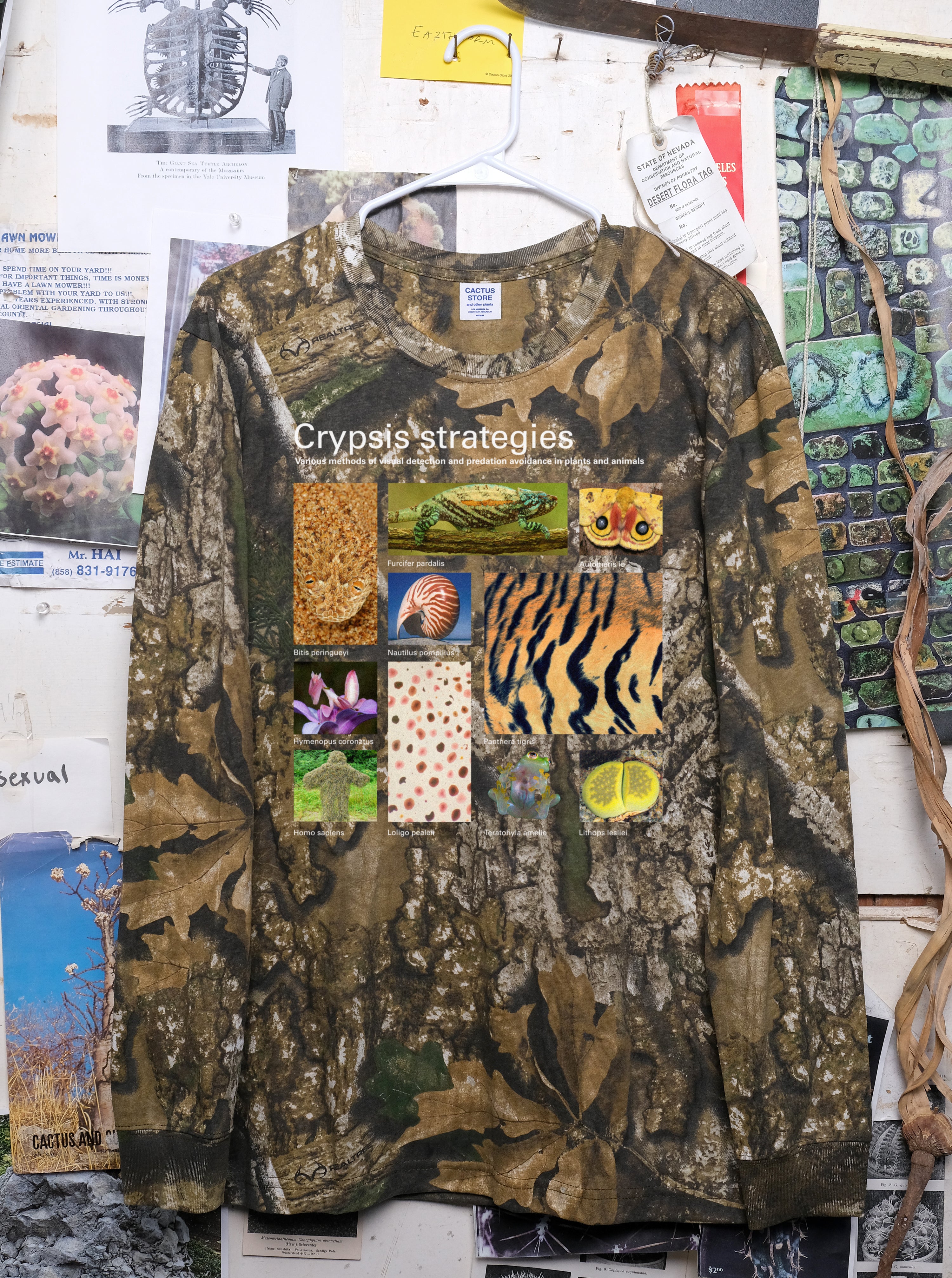 Taxa Shirt 19: Crypsis Strategies (Camo L/S) – Cactaceae Storeiencius