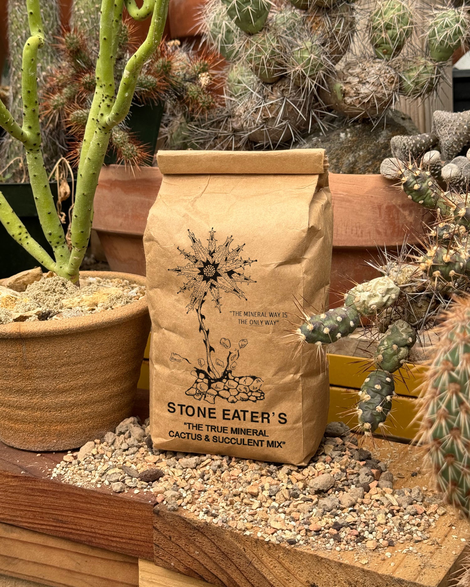 small bag of cactus soil Stone Eater's (Bag) – Cactaceae Storeiencius