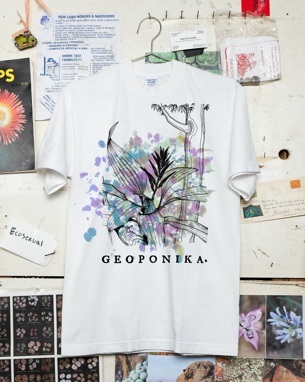 Geoponika: Bromeliad Tie-Dye