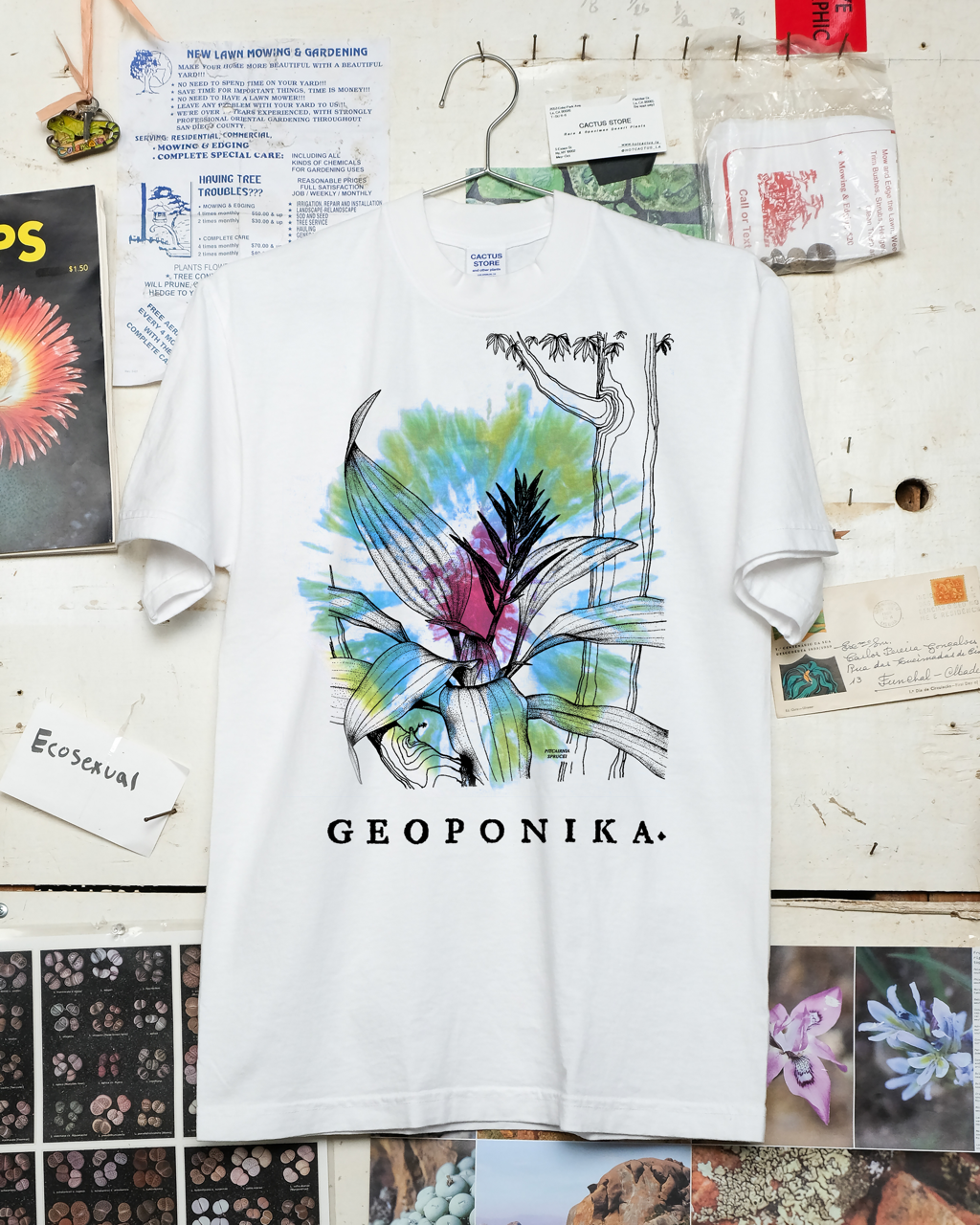 Geoponika: Bromeliad Tie-Dye