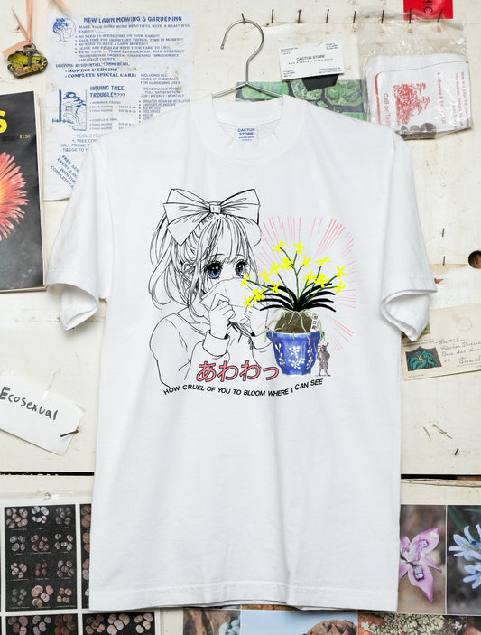 Neofenitia falcata (white)