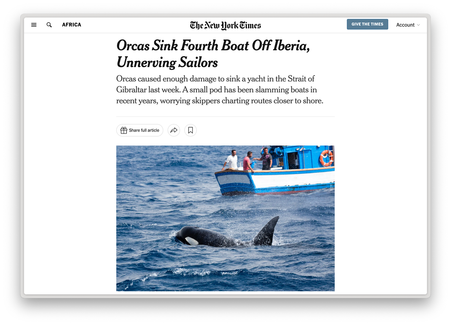 Impeach Humans: Orca 2024